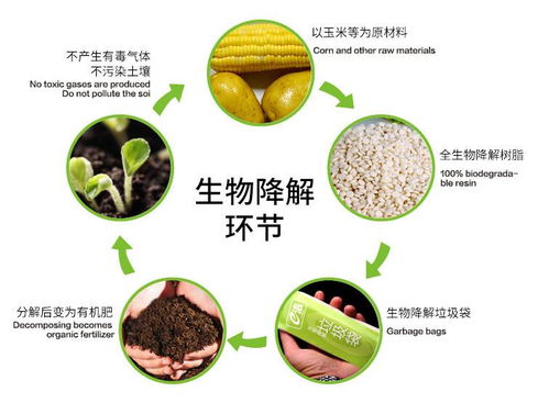 如何利用饲料生物降解液优化氨化过程，提高养牛饲料的利用率？