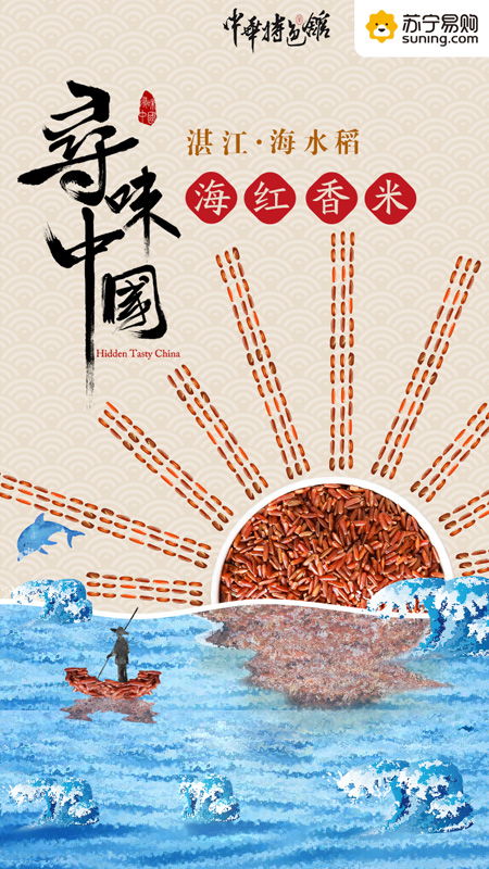 揭秘种子生长奇迹：揭秘种子成长的奥秘