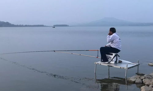 漂尾突然下沉或快速上扬，可扬竿