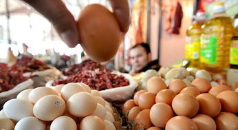 温州鸡蛋价格和芦丁鸡鸡蛋一斤多少钱比较？