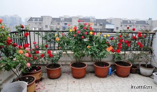 水质和水温也hen关键