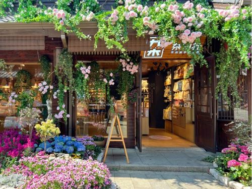 便宜货真的不嫩买哦！