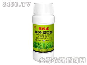 井冈蜡芽菌灌根对植物杀菌效果显著，这种方法平安吗？