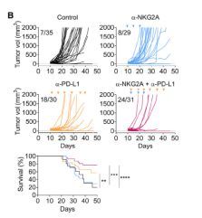稀释比例，重要不重要？