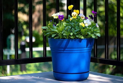 手工制作花盆：个性化你的花卉盆栽
