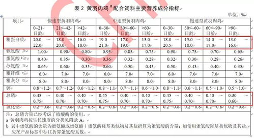 育肥猪不同生长阶段饲料粗蛋白含量标准是多少？