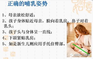如何科学养护大弦月城，掌握哪些养殖技巧才能使其健康成长