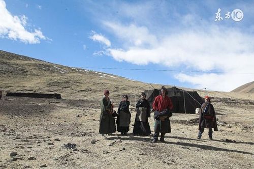 藏区高海拔， 抗寒草种寻宝记