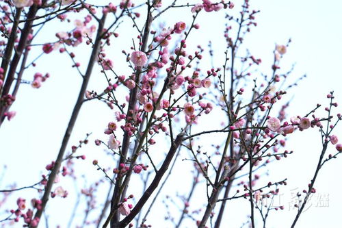 水要浇得刚刚好