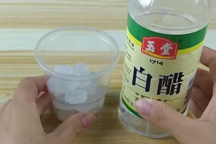 混合糖粉：蚂蚁的终结者