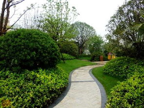 小区门口绿化景观设计：如何融入本地特色植物，打造独特生态景观？