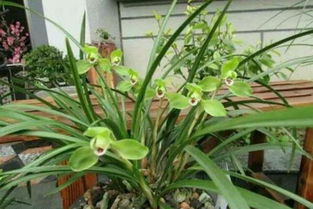 温度也是影响因素