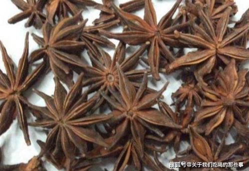 如何和鉴别技巧来判断其真伪