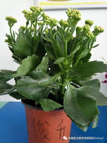 旅行者的新视角