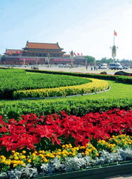 天安门广场的换花行动