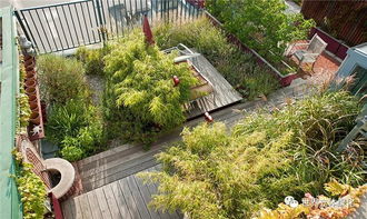 屋顶花园， 夏日清凉秘籍
