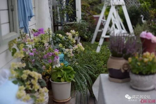 公园种花有讲究吗？当然有啦！品种选择和设计门道多着呢！