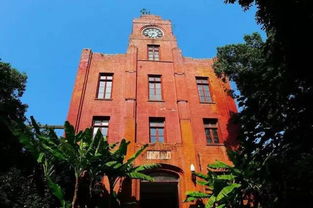 浙江大学， 实力派大学