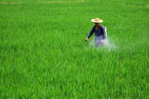 农药中的氯元素：你了解多少？