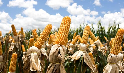 广西比海南冷？不一定