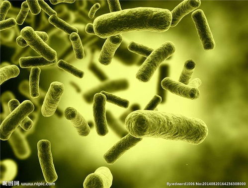 第三步：精准打击， 根除病源