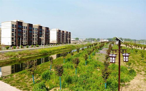 对人类健康的危害