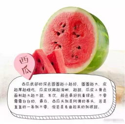 外表光滑的容易污染？