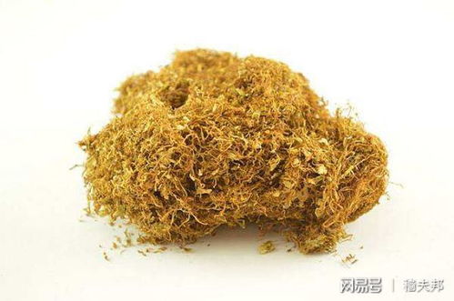 番茄：番茄红蜘蛛、 蚜虫