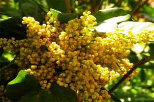 2. 改善环境， 增强抵抗力