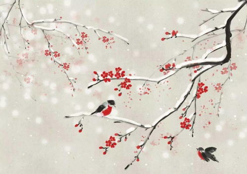 梅花摘心，情感如丝