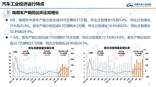 2025年车前子价格暴跌之谜：是市场供应过剩还是需求减少？