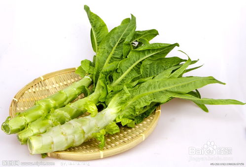 变态茎植物有哪些作用？常见的种类有哪些