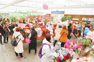 荷兰花海，花开盐城