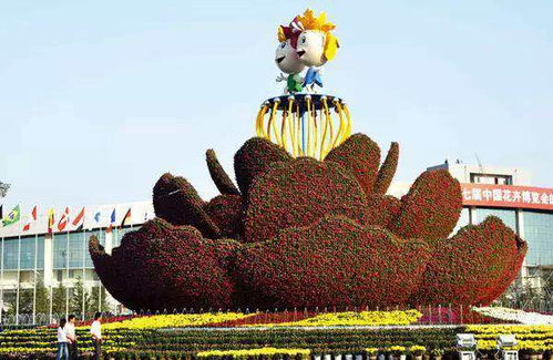 花团锦簇， 盛宴来袭：青州花卉博览交易会盛大开幕