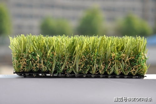 冬日草坪浇水的那些事儿