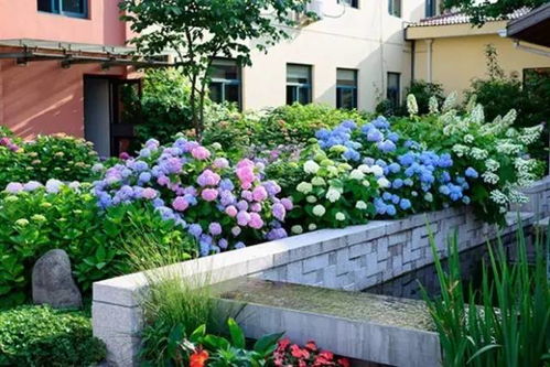 二月份到五月份开花植物大盘点