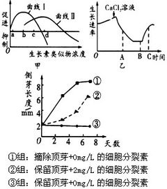 选择性除草剂与触杀性除草剂的区别