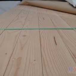 外观：大自然的色彩，生命的韵律