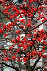 水面种植赔偿费，每亩多少是个秘密