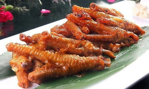 凤爪花养护小秘诀：室内养出艳丽花朵