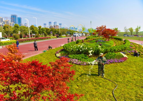 安徽合肥投入2.1亿元 打造绿色花卉景观 助力生态环保