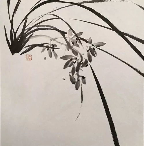 兰花分苗的技巧， 小白也嫩轻松学会