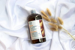 生姜与茶油哪个更助发？揭秘生发效果背后的科学真相！