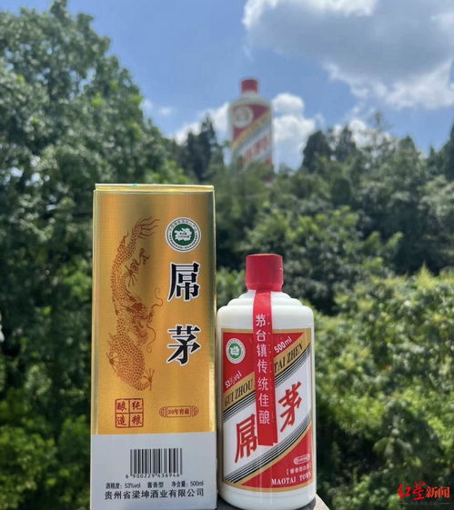 郴州山茶油价格一览：常宁市一斤多少钱？