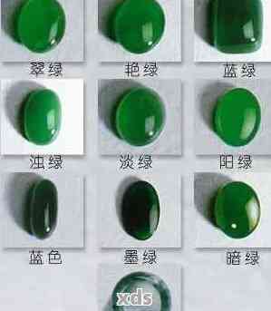 揭秘玫瑰颜色的秘密：解读不同色彩的深层含义