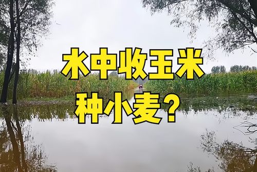 雨水：降雨开始