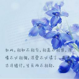 花语解析：离别之痛，花语中的深情告别