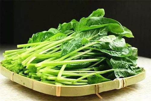 6. 菠菜