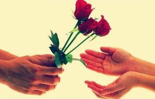 玫瑰释放手，坚定解脱之美