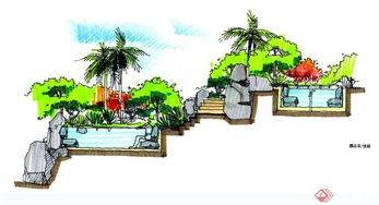 树木形态：千姿百态， 个性鲜明